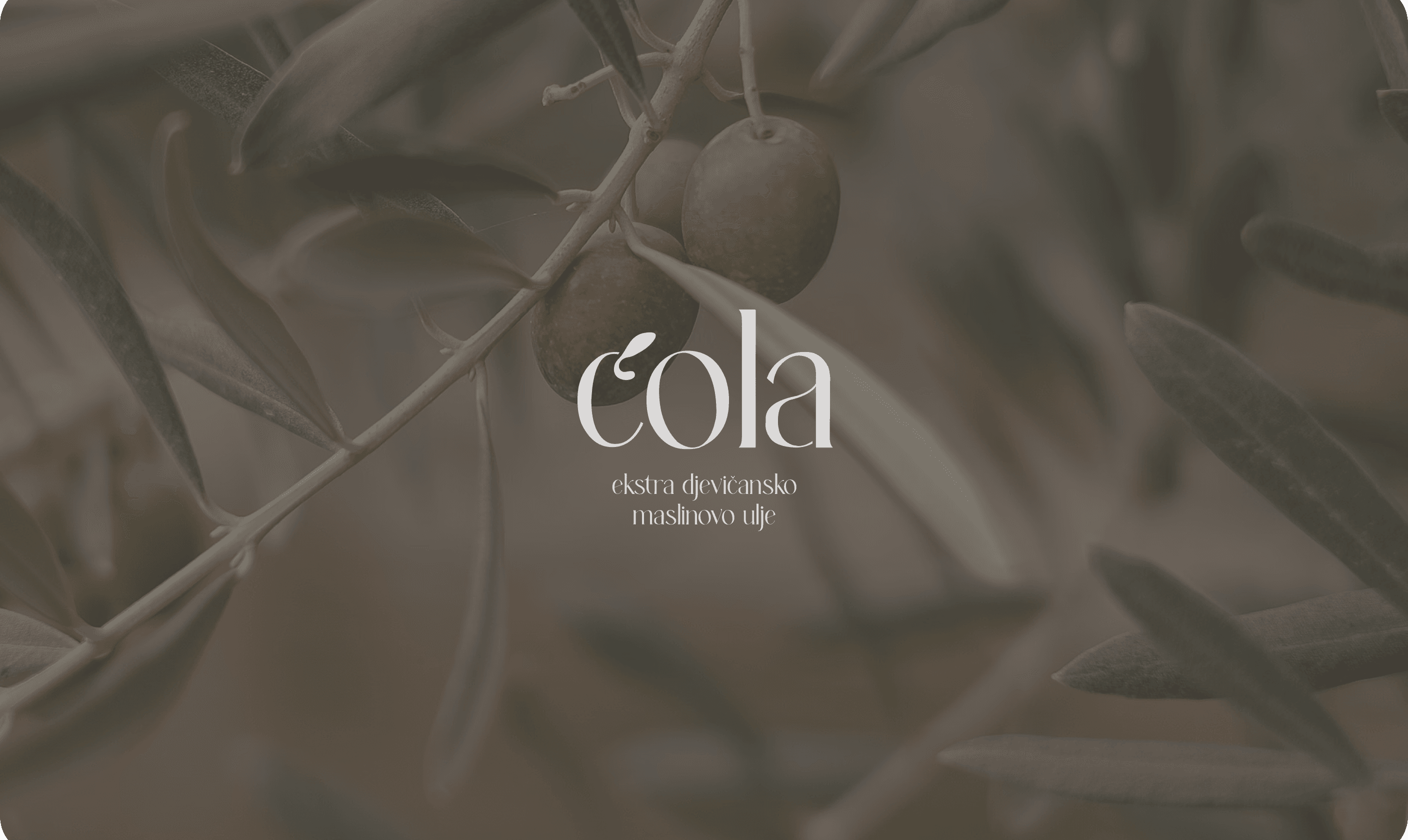 Ćola olive oil brand identity