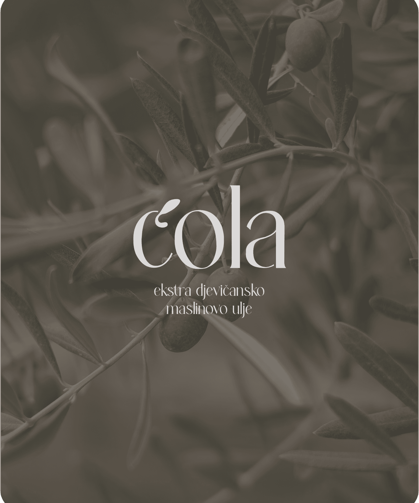 Ćola olive oil brand identity